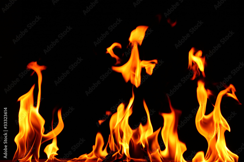 Fototapeta premium fire flame