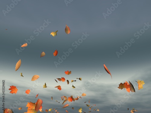 feuillage d'automne