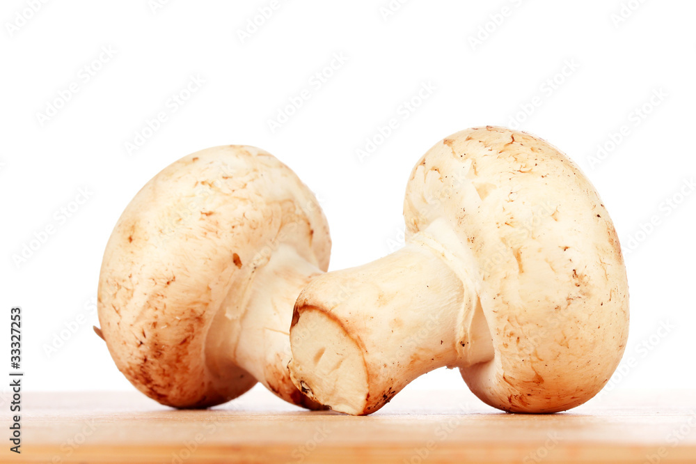 two mushrooms on wooden two mushrooms on wooden