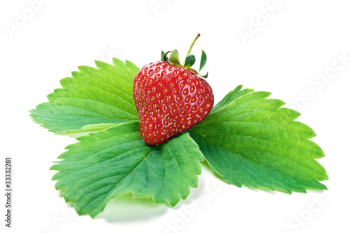 fresh strawberry on a green leaf
