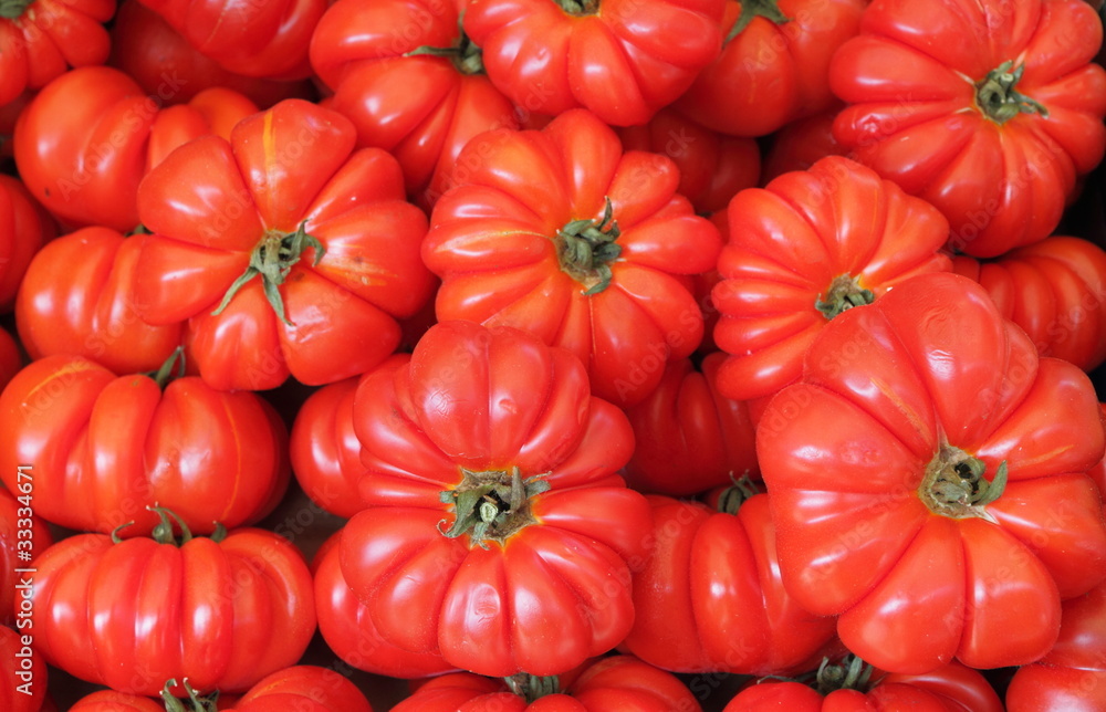 organic tomatoes background organic tomatoes background