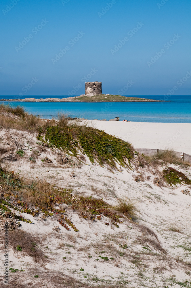 Sardinia, Italy: Stintino, La Pelosa Beach