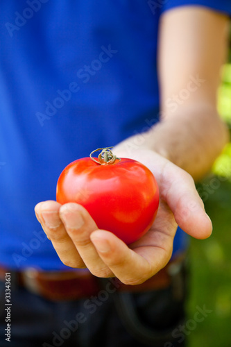 angebot tomate in der hand