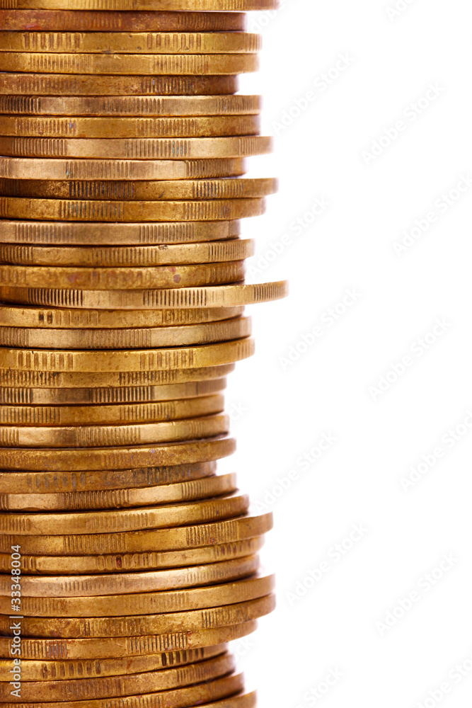 gold coins and plant isolated on white. Ukrainian coins gold coins and plant isolated on white. Ukrainian coins