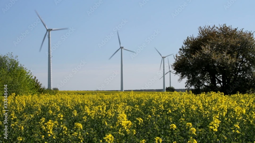 Windräder am Rapsfeld Windräder am Rapsfeld