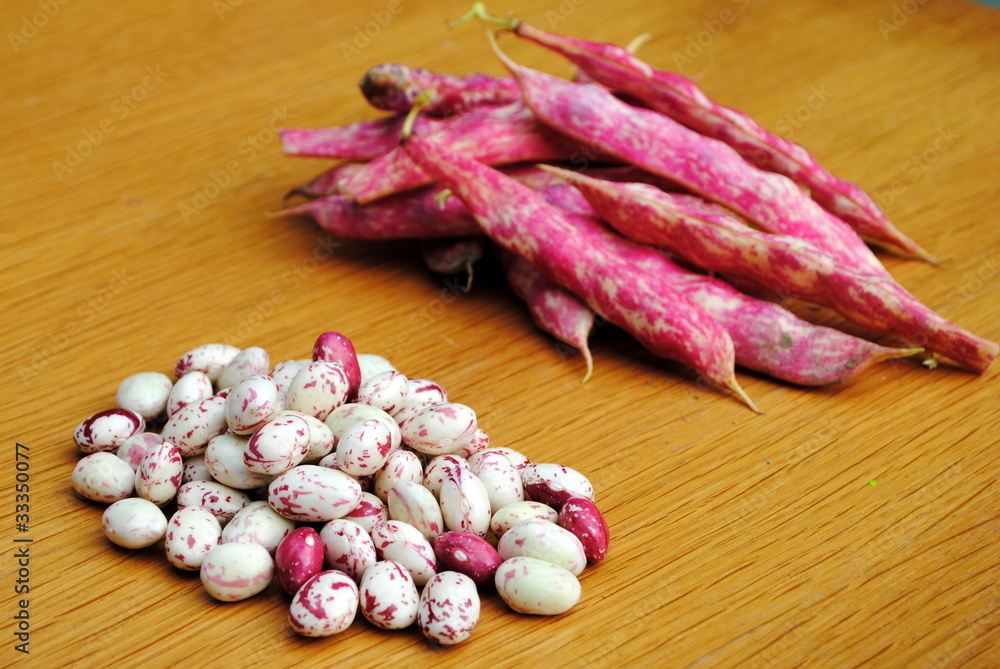 fagioli borlotti e baccelli ancora chiusi fagioli borlotti e baccelli ancora chiusi