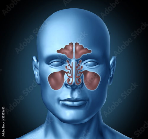 Sinus human nasal cavity with human head photo