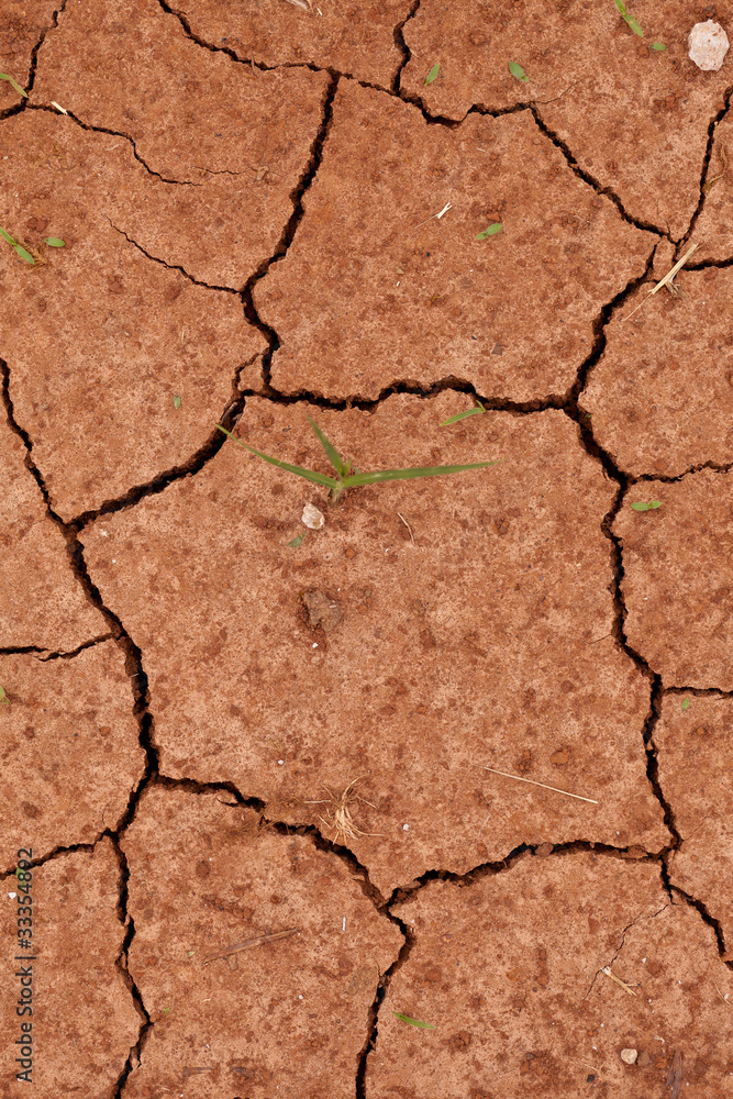 Fototapeta premium trockene Erde
