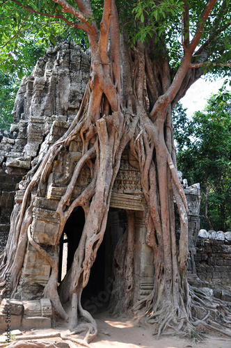 Landscape of Angkor, Cambodia