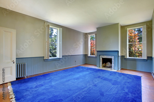 Large historical living room with blue rug and fireplace © Iriana Shiyan