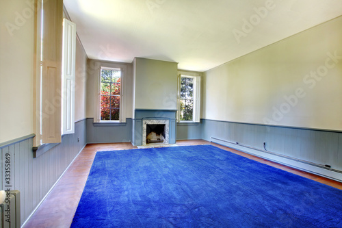 Large historical living room with blue rug and fireplace © Iriana Shiyan