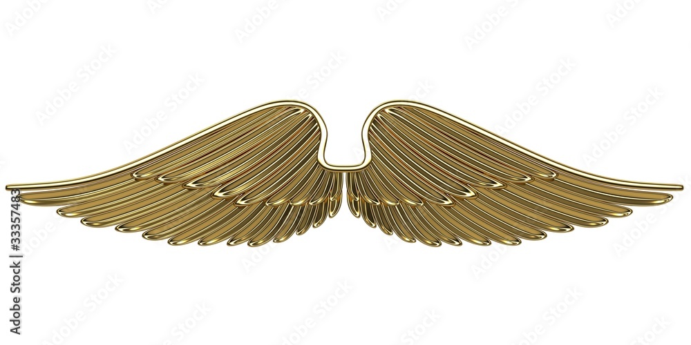 Bronze angel wings Stock Illustration Adobe Stock