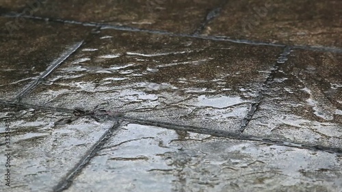 Regen
