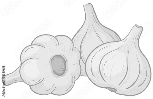 Garlic on white