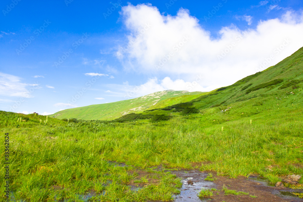 Fototapeta premium Beautiful landscape