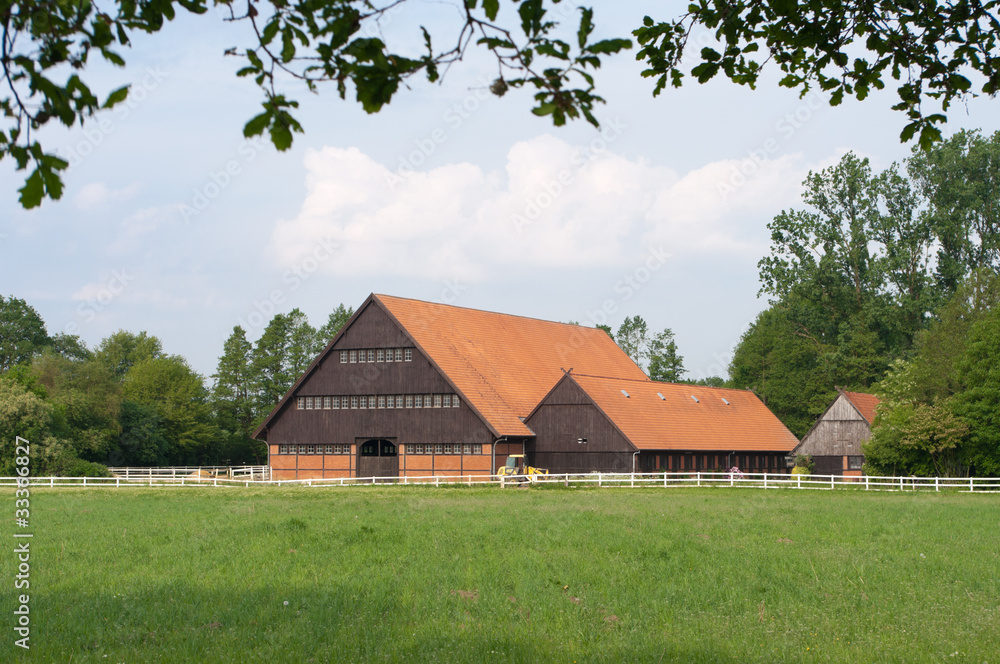 horse farm horse farm