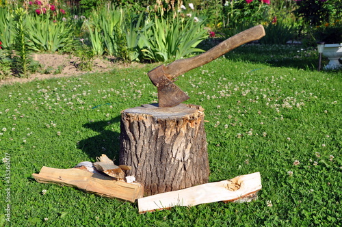 Axe in tree stump
