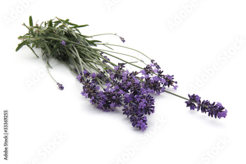 Fototapeta Naklejka Na Ścianę i Meble -  lavande