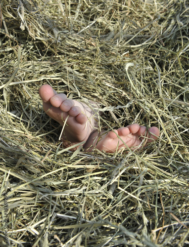 Relaxing in a hay-load