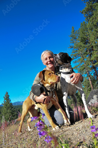 Photography walking dogs