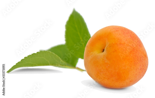 Apricot with leaves on a white background