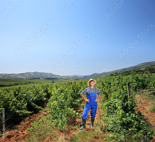 Young vintner standing in a vineyard