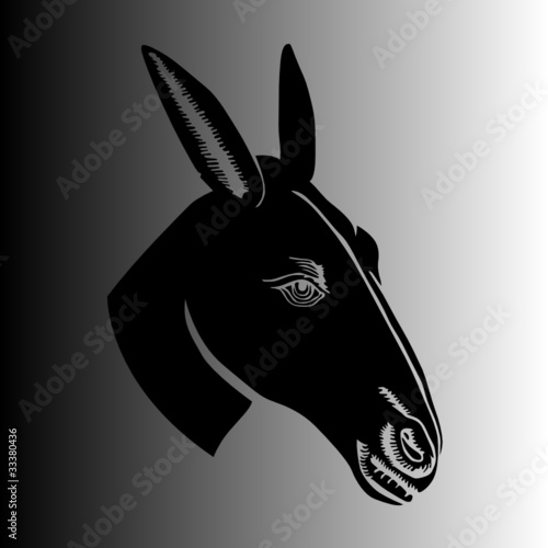 donkey head vector illustration