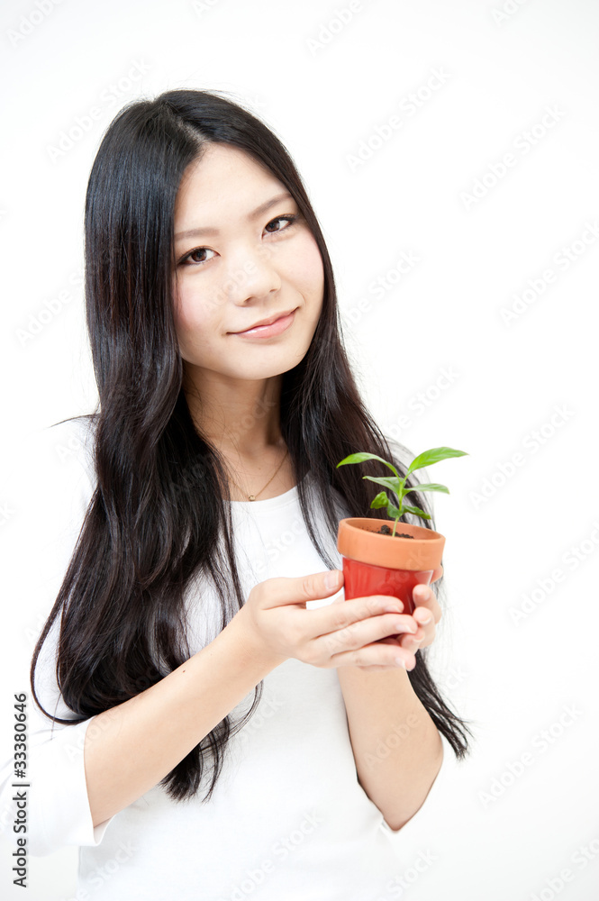 beautiful asian woman with small plant beautiful asian woman with small plant