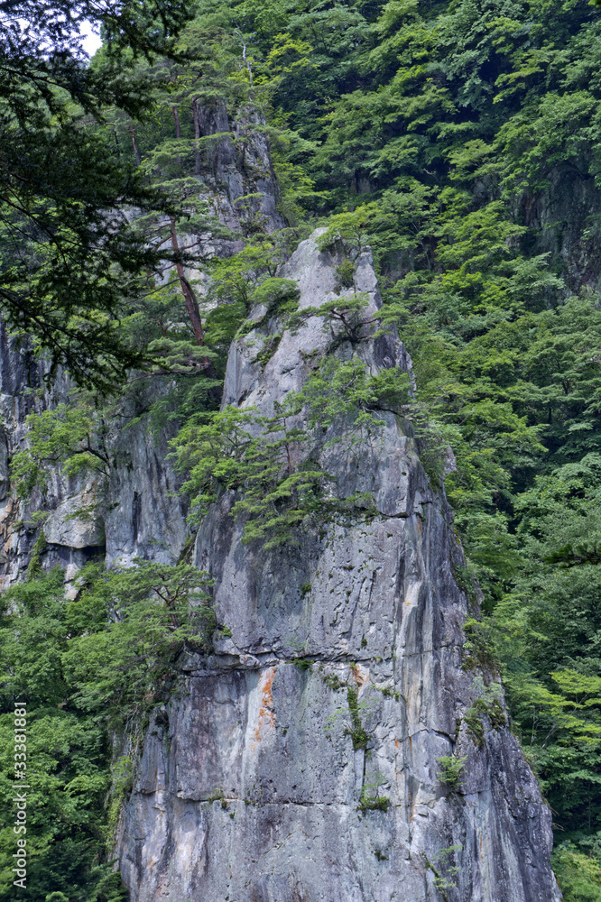 岩石 岩石