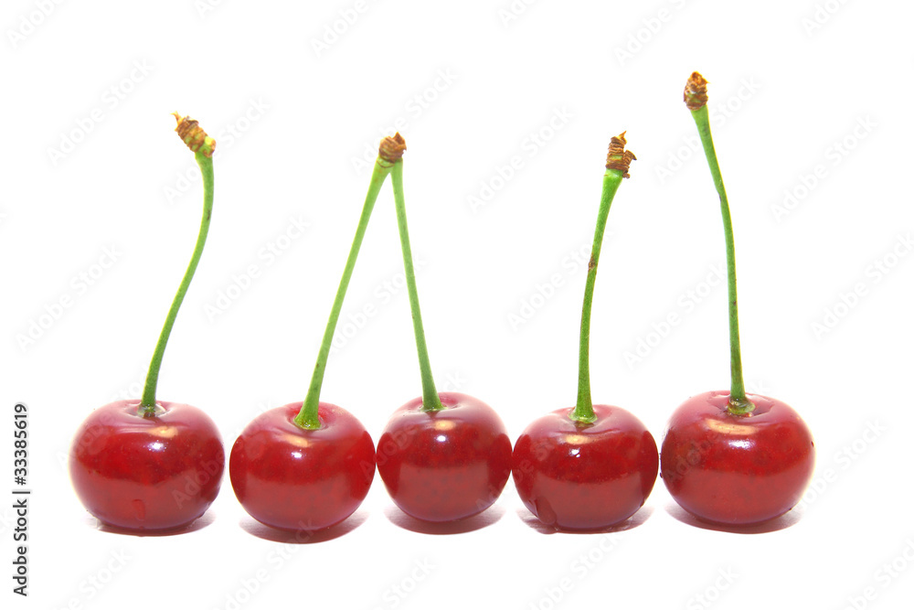 five cherries isolated on white background five cherries isolated on white background