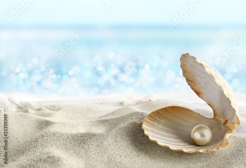 Fotografie Shell with a pearl