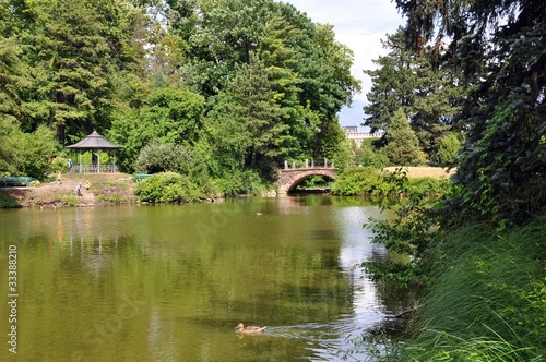 Photography Botanischer Garten Berlin