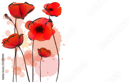 coquelicot