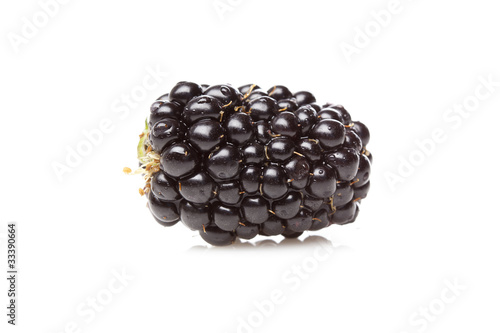 A fresh blackberry