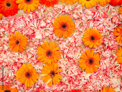 flowers background