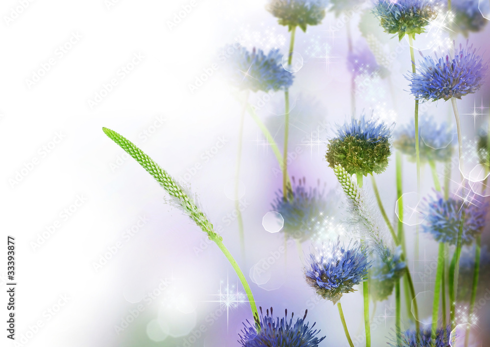 Naklejka premium Abstract Flowers Border Design