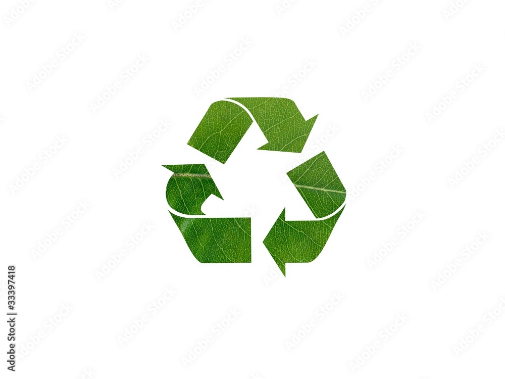 Obraz premium Green Leaf