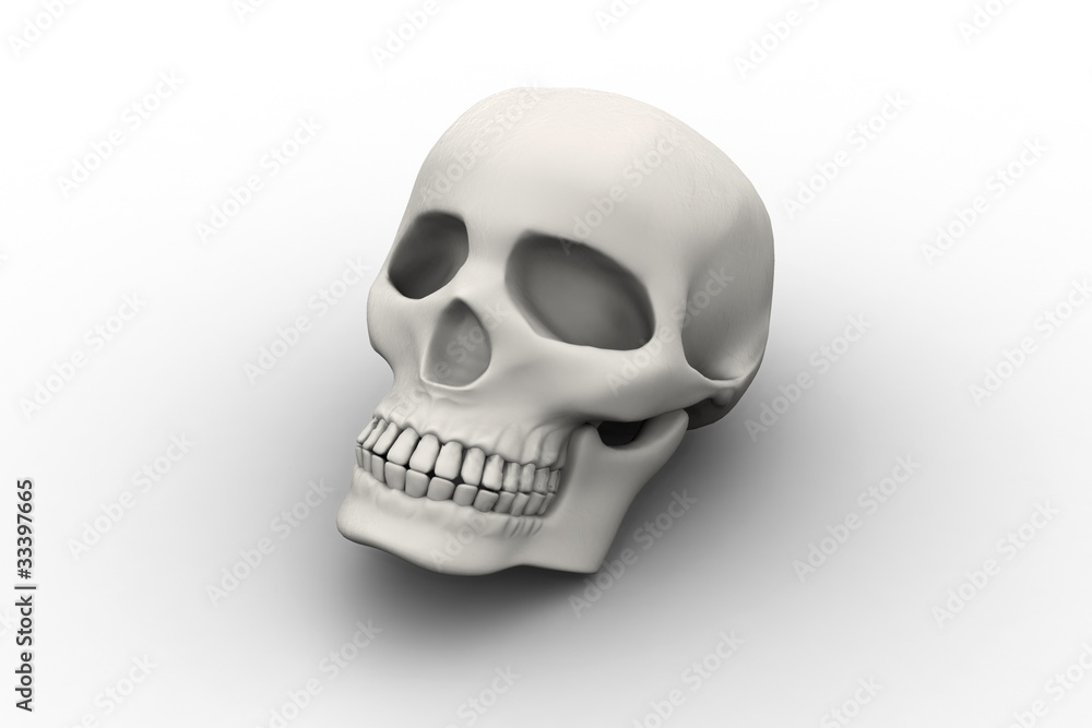 Fototapeta premium Skull