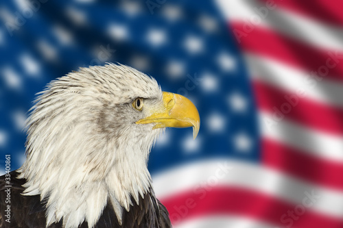 Portrait of American bald eagle against USA flag stars and strip