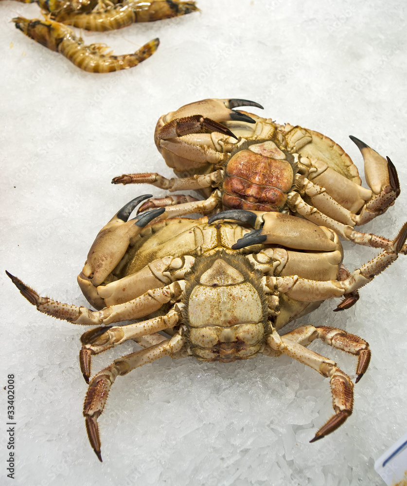 Crabs on ice Crabs on ice