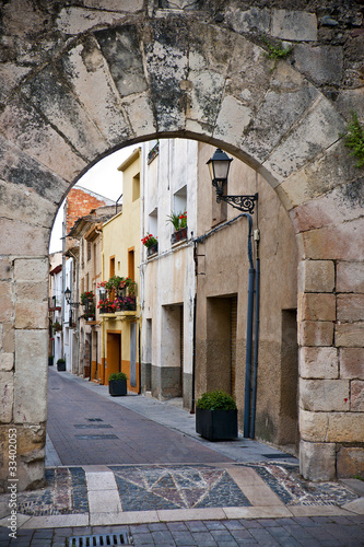 Fototapeta Naklejka Na Ścianę i Meble -  Gateway at old town