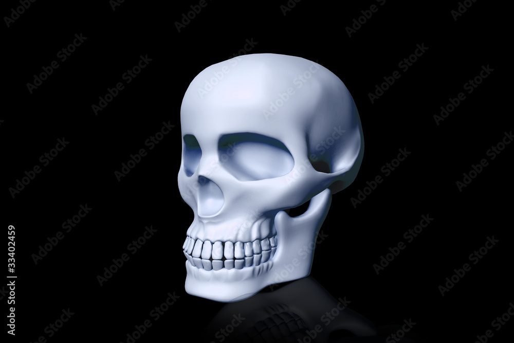 Obraz premium Skull