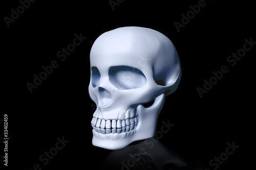 Skull