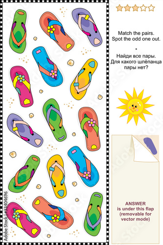Colorful flip-flops visual logic puzzle