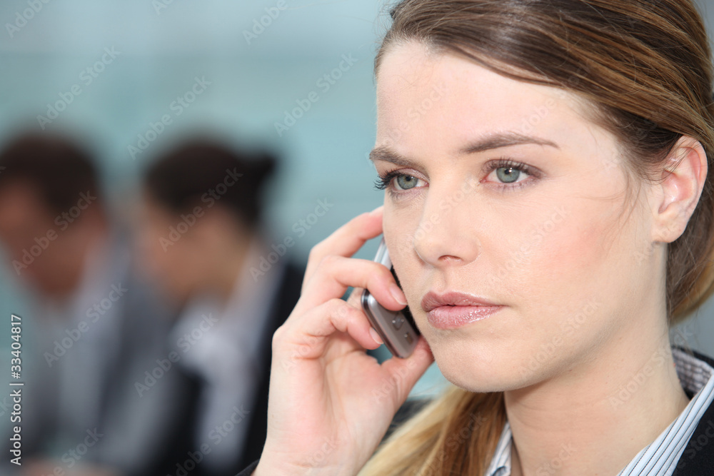 Businesswoman on the phone Businesswoman on the phone