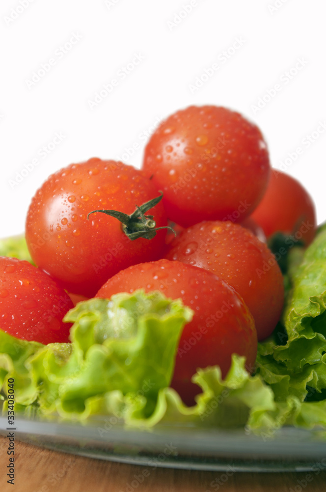 Tomatoes and lettuce on the white background Tomatoes and lettuce on the white background