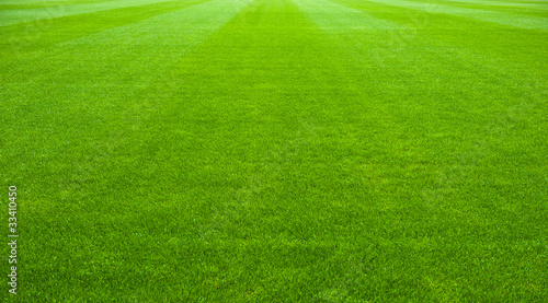 soccer field photo