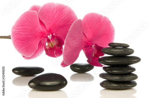 pebbles with beautiful  orchid over a white background.