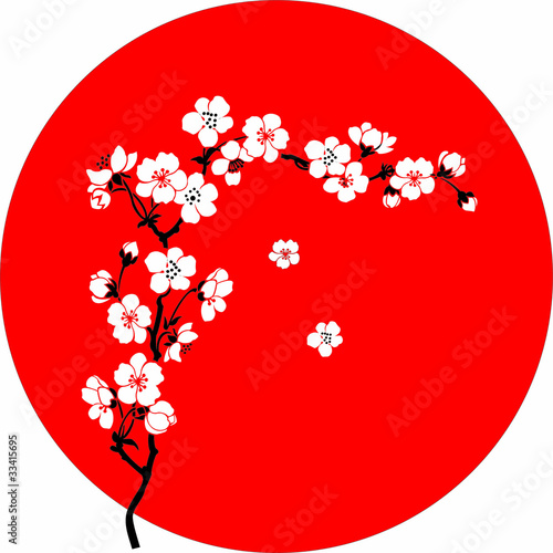Blooming cherry tree Sakura in Japan style