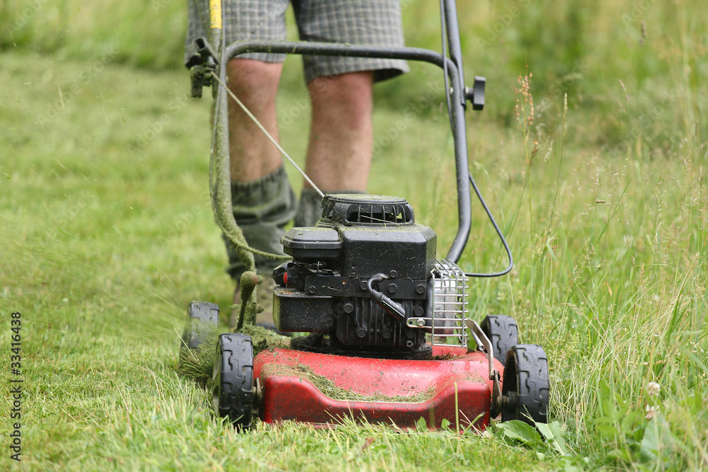 Obraz premium Mowing